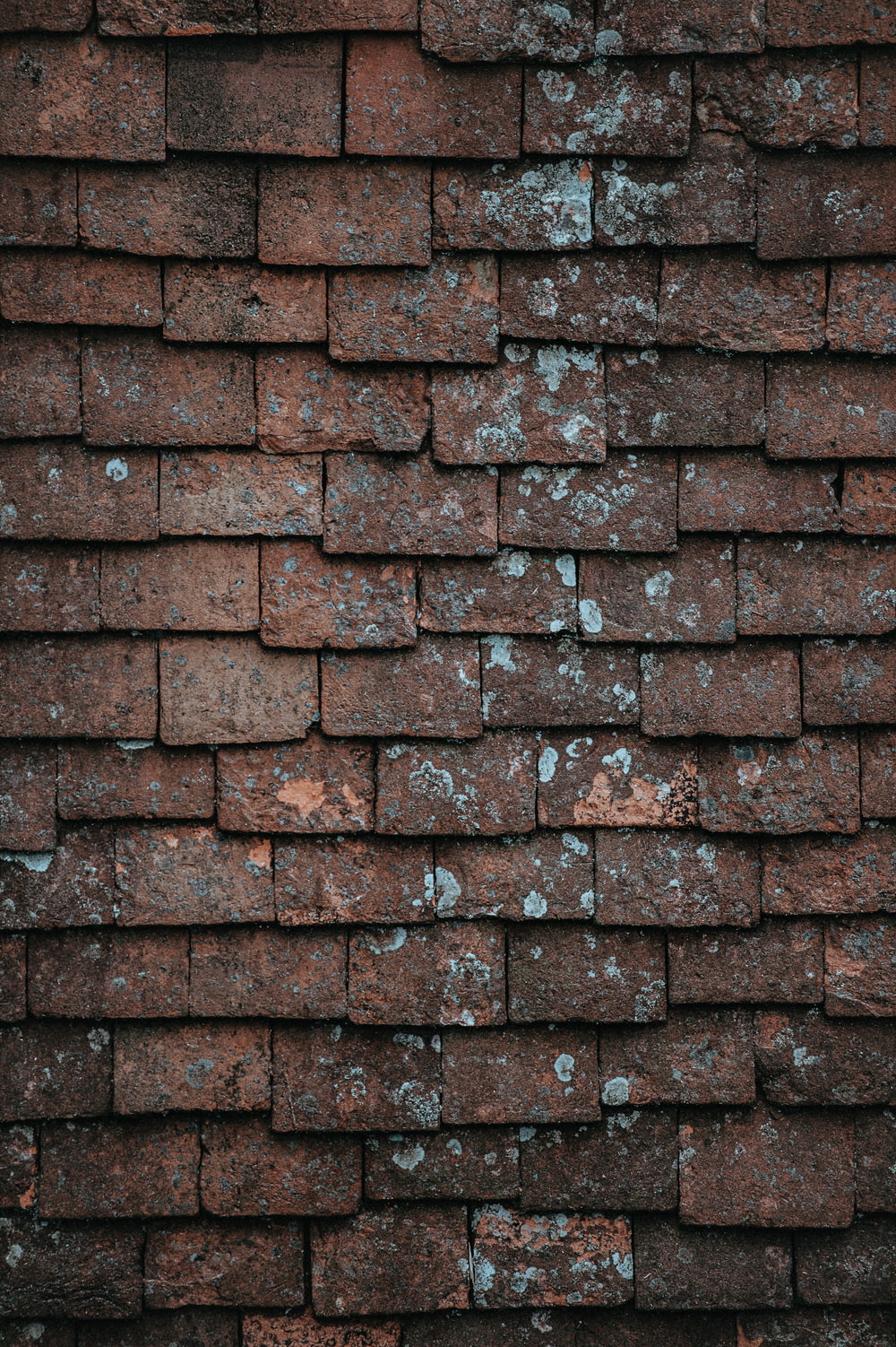 closeup photography of brown and gray concrete bricks
