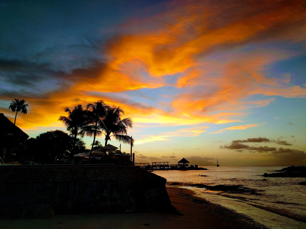 palm tree silhouette near seashore