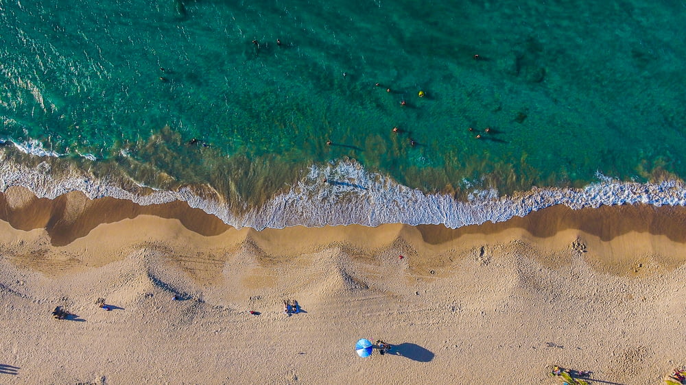 fotografia aerea di una persona che cammina vicino alla riva del mare durante il giorno