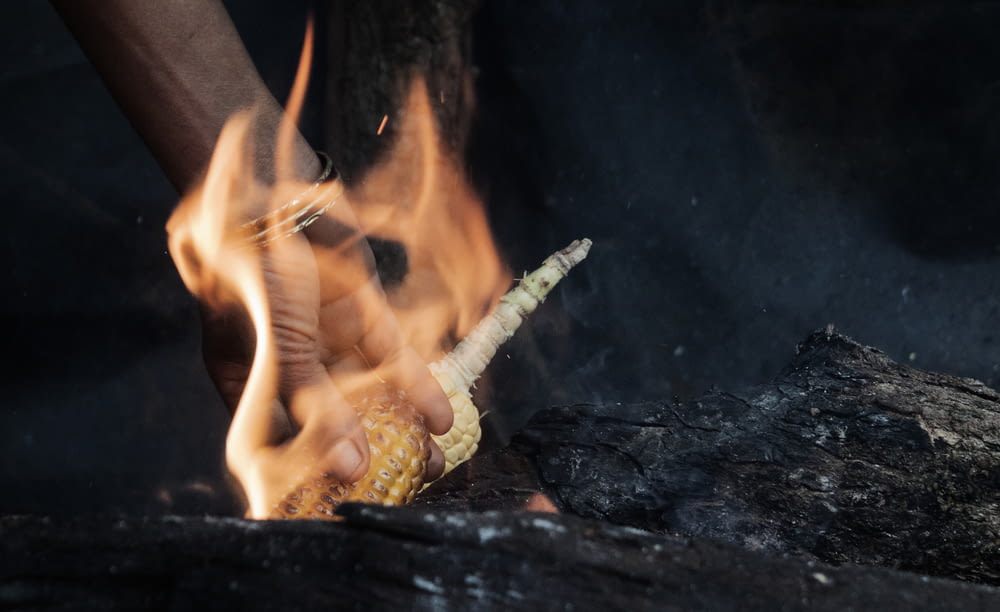 time-lapse photography of person holding corn with fire
