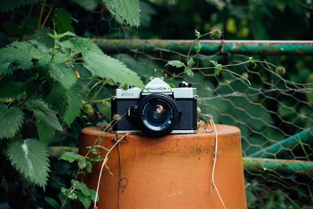 植木鉢の黒とグレーのカメラ