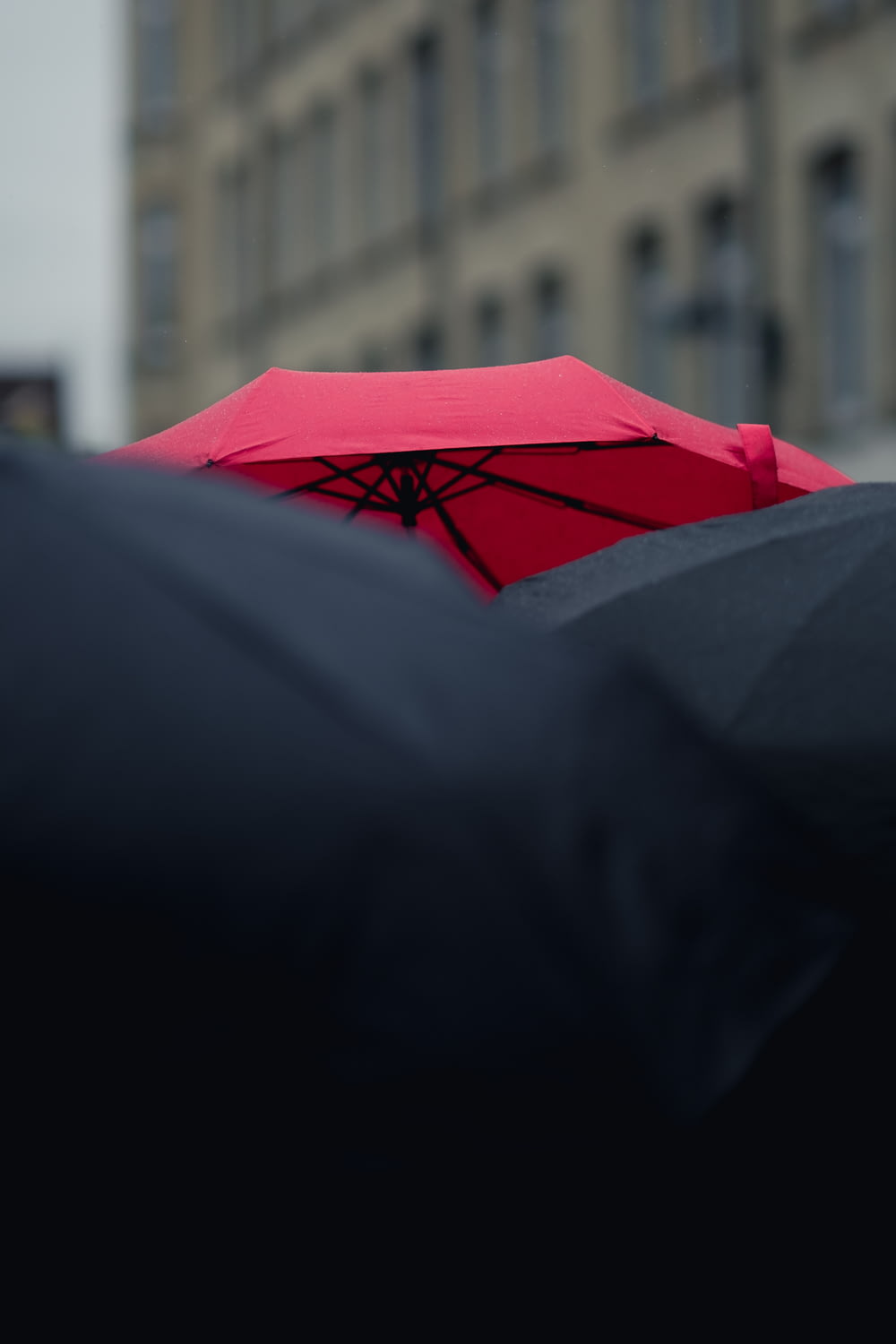 fotografia ravvicinata di ombrelli neri e rossi