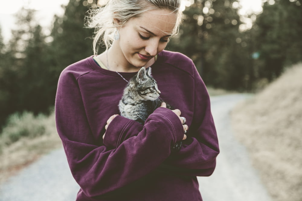 Selektive Fokusfotografie einer Frau, die ein graues Kätzchen umarmt