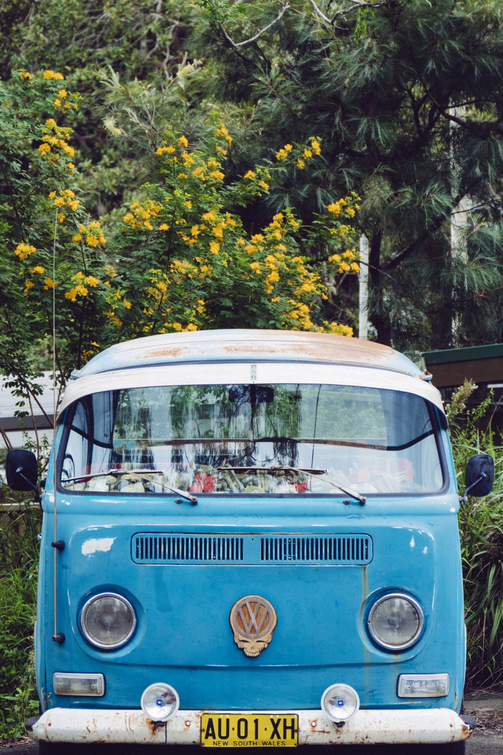 blauer Volkswagen T3 vor Bäumen