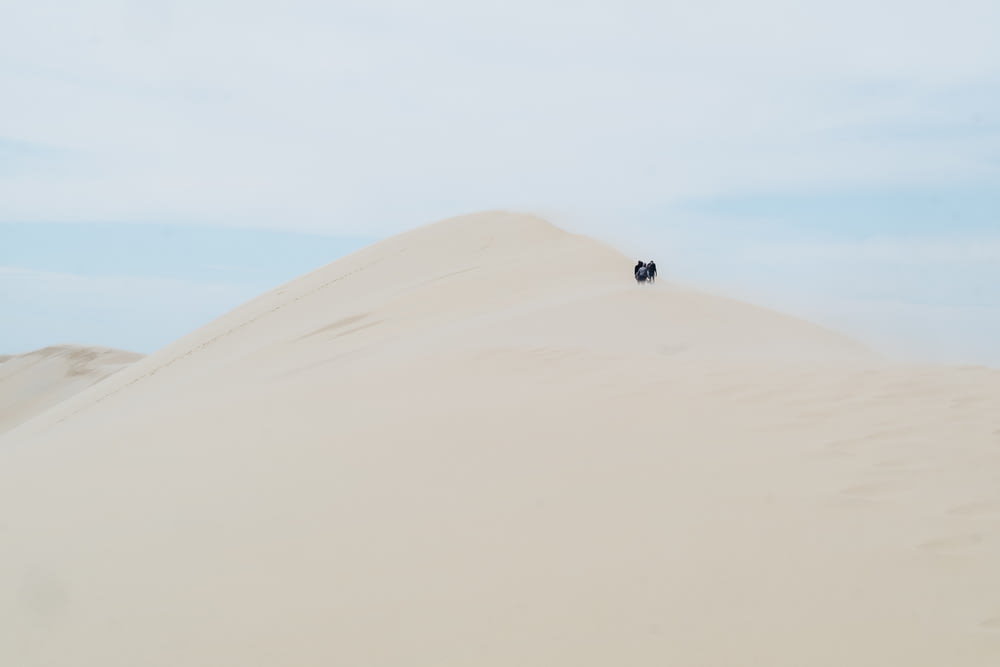 砂漠に立つ人々