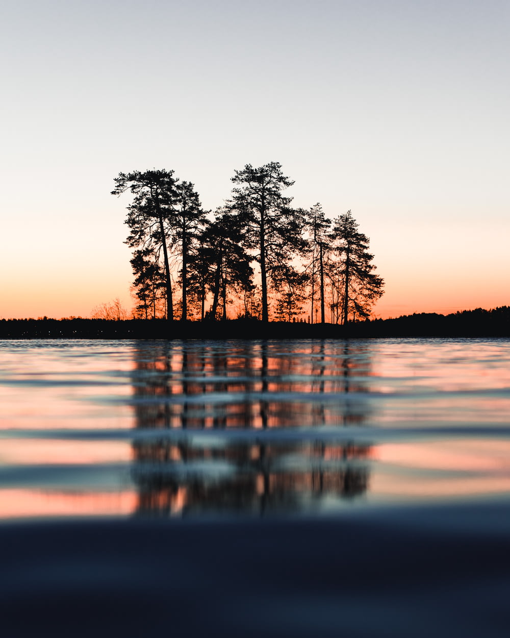 silhouette of trees between body of water and sky