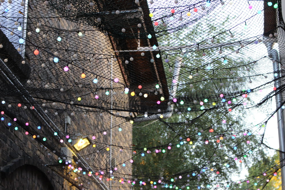 string lights between brown houses during daytime