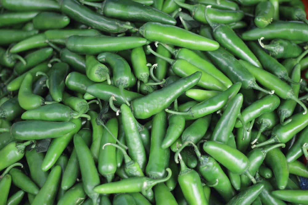 macro photography of green chilis