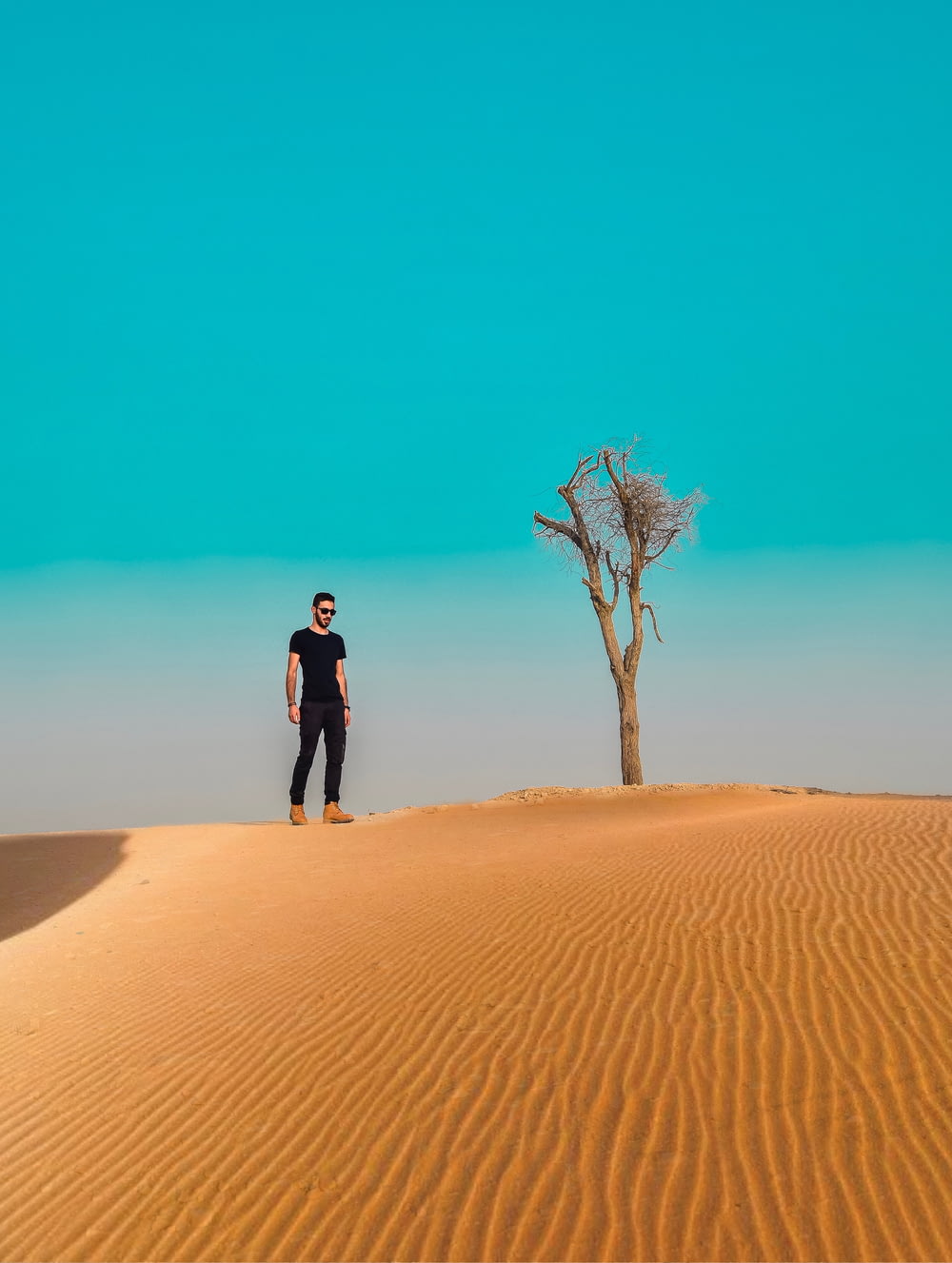 man standing on sand field near dried tree