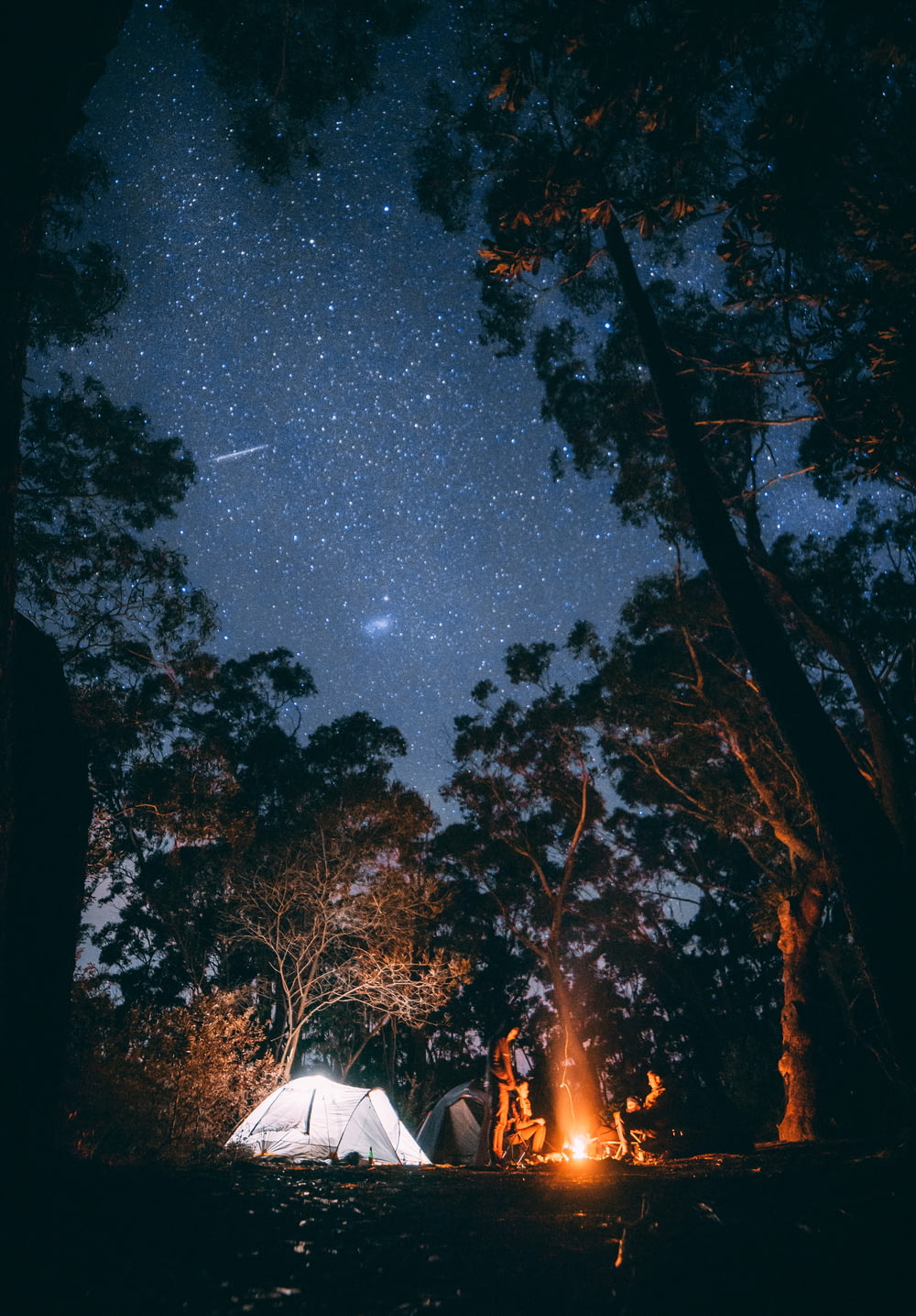 Persona sentada cerca de una hoguera rodeada de árboles