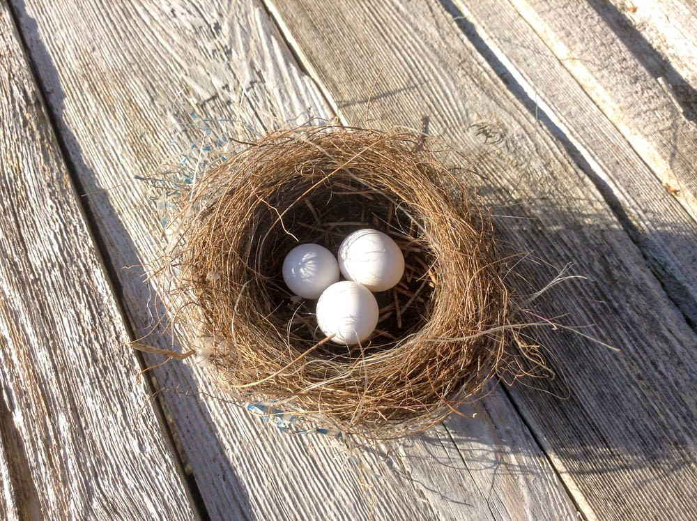 tre uova bianche di uccello nel nido marrone dell'uccello
