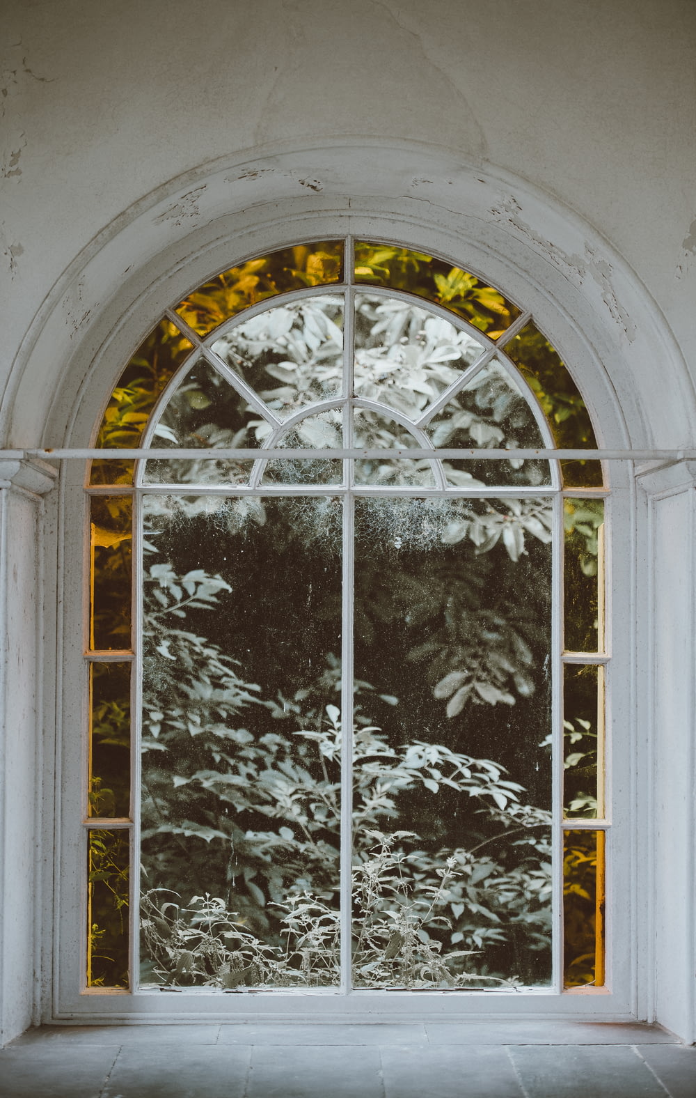 clear glass window with white frame
