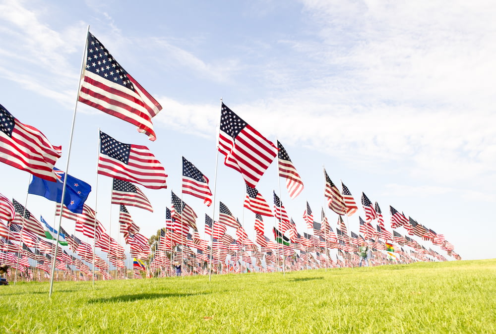 U.S.A flags on green grass field during daytime