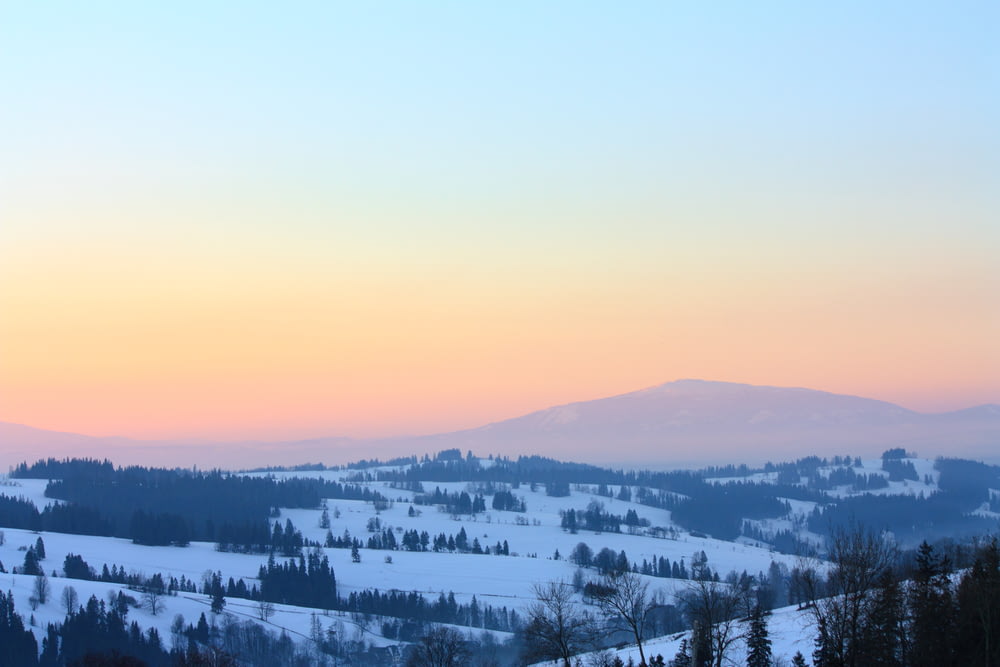 Foto aus der Vogelperspektive eines mit Schnee bedeckten Landschaftsfeldes mit Bäumen