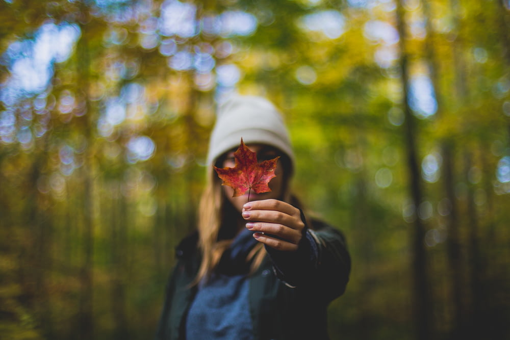 wide aperture photography of woman holding maple leaf to camera during daytime