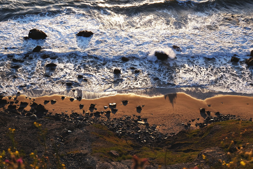 bird's-eye view photography of seashore
