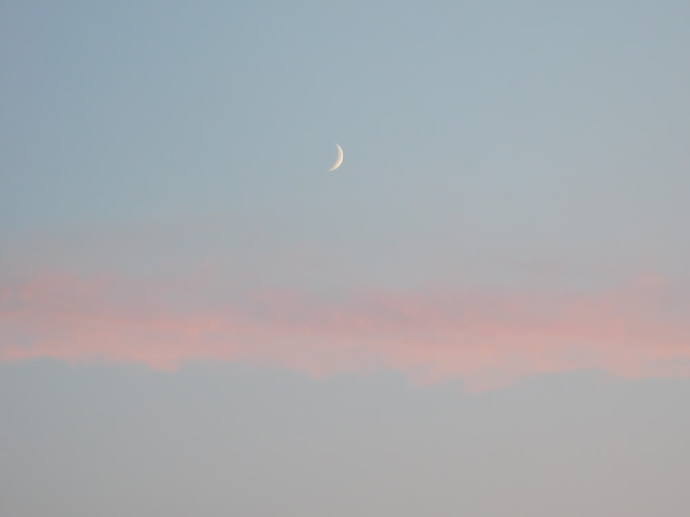 quarter moon during daytime