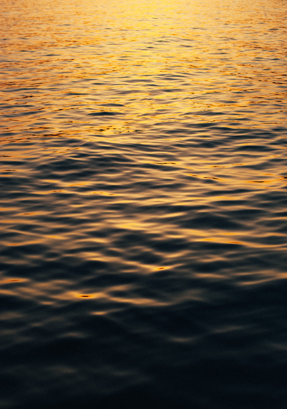 low light photography of body of water