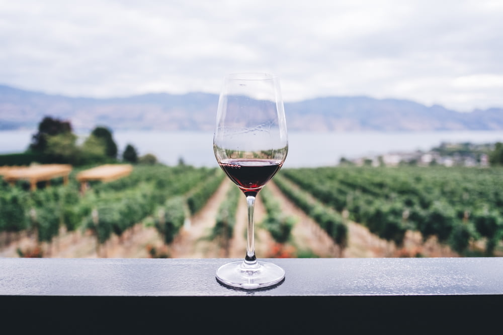 日中の果樹園を見下ろす透明なワイングラス