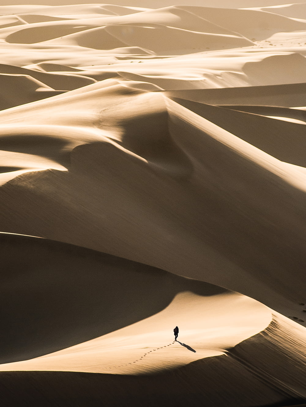사막을 걷는 사람