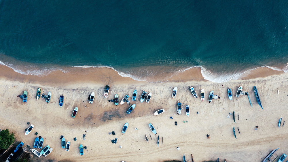 aerial view of people on shoreline