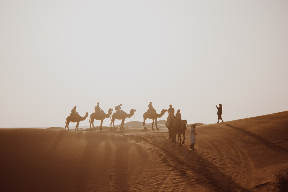 muitas pessoas andando de camelo pelo campo do deserto durante o dia