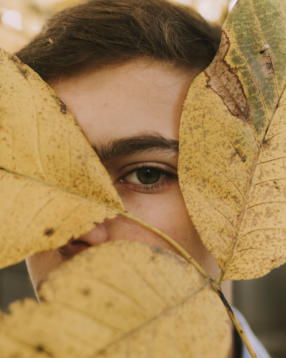 feuilles brunes sur le visage de la personne pendant la journée