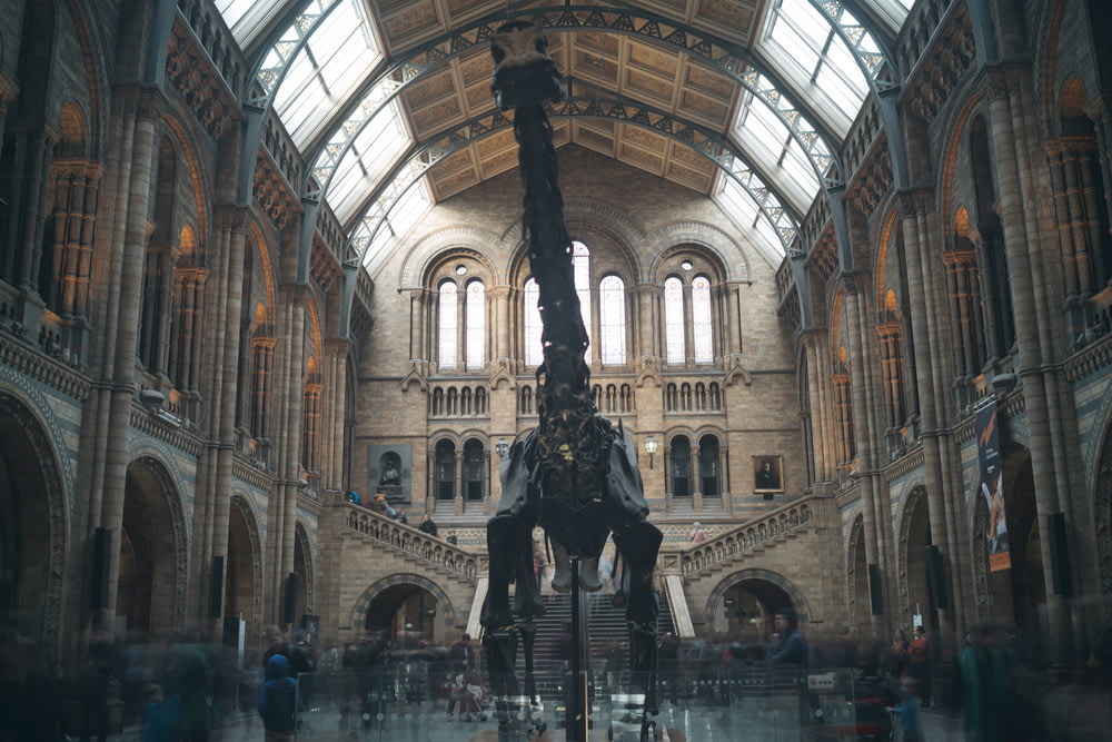 Dinossauro de metal preto dentro do museu cercado de pessoas durante o dia