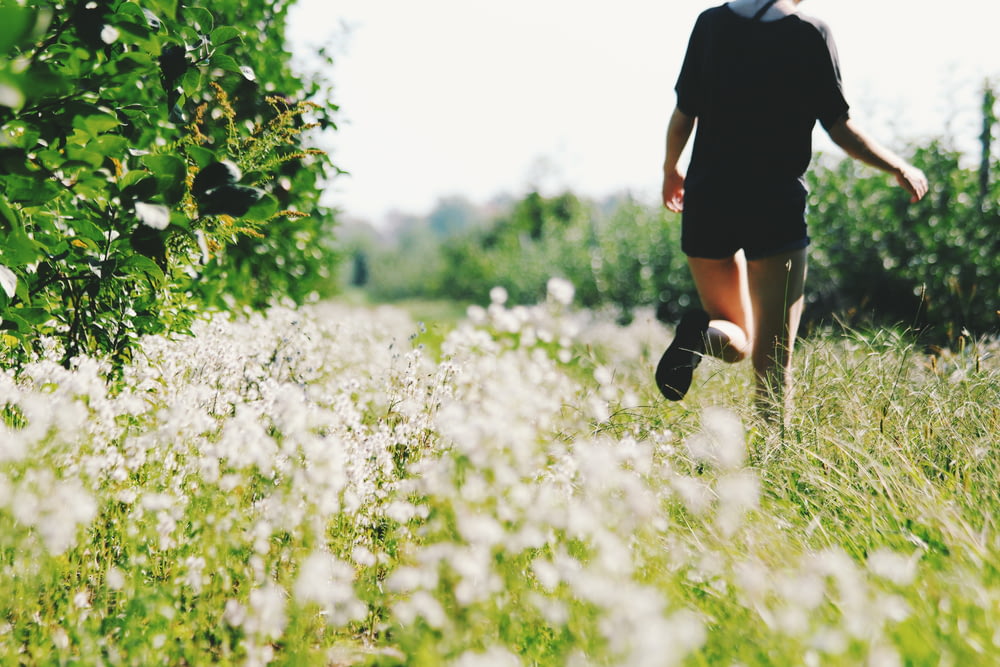 person walking on white flower field