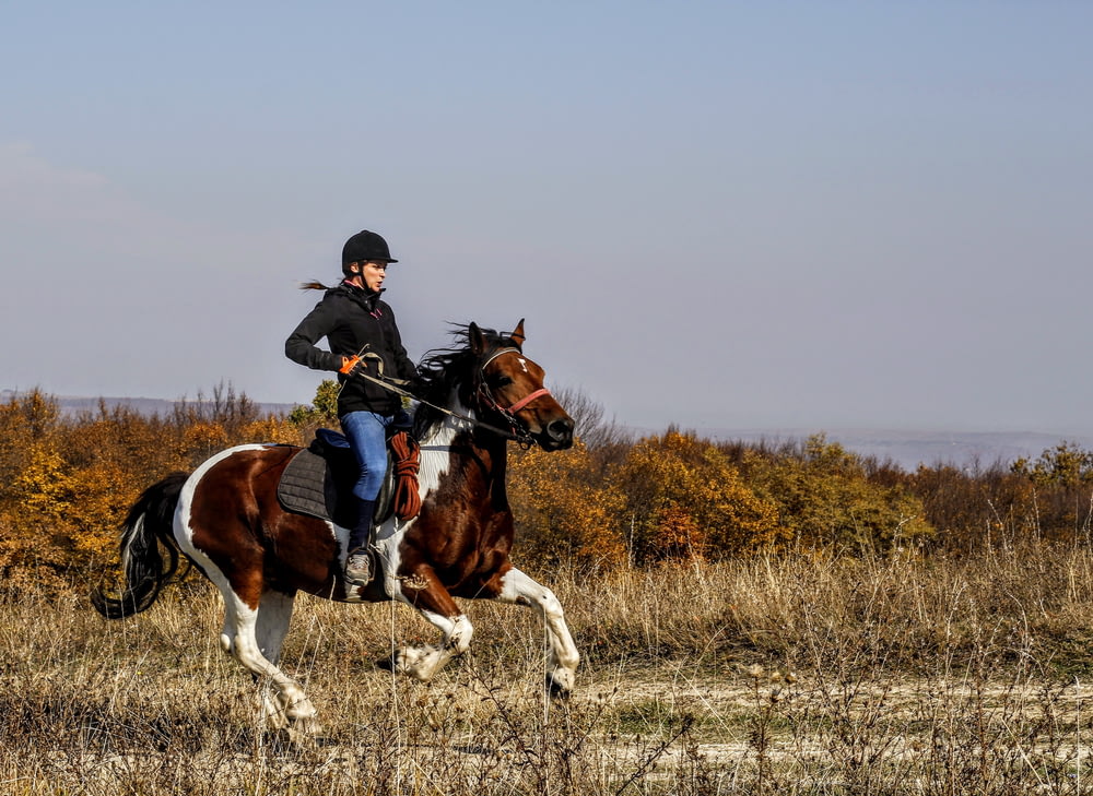 person riding on horse