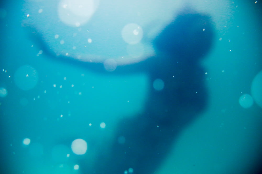 femme nageant sous un plan d’eau