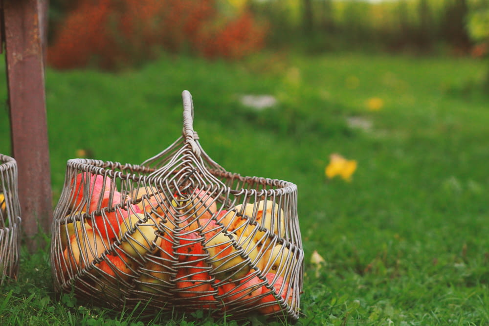 shallow focus photography of brown wicker basket and green grass