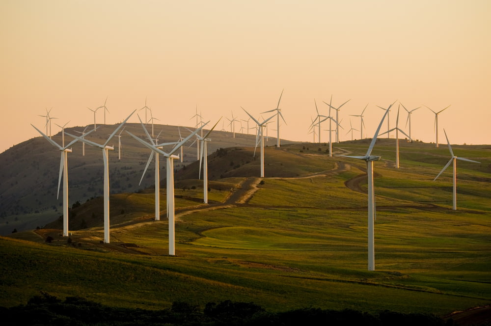 Windmühlen auf grüner Wiese unter weißem Himmel während des Tages