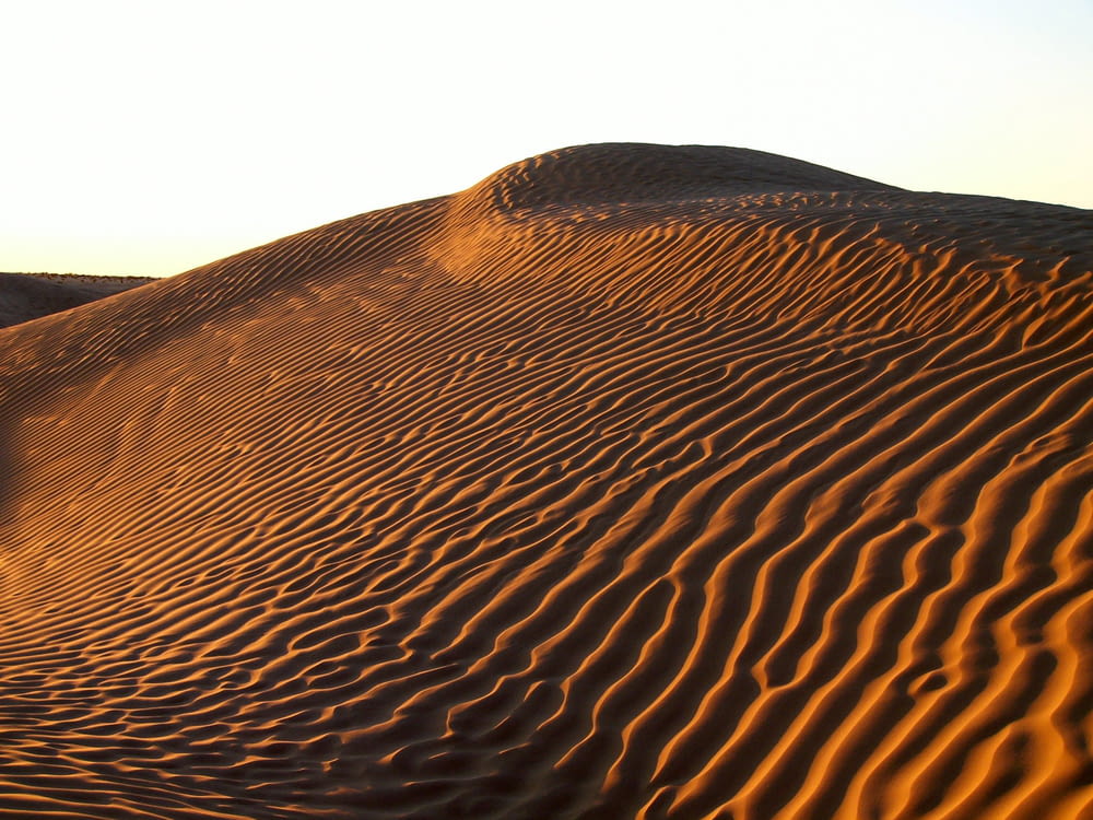 photo of desert dune