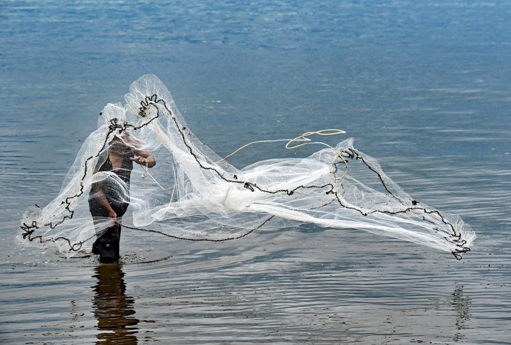 水域に白身魚網を投げる人
