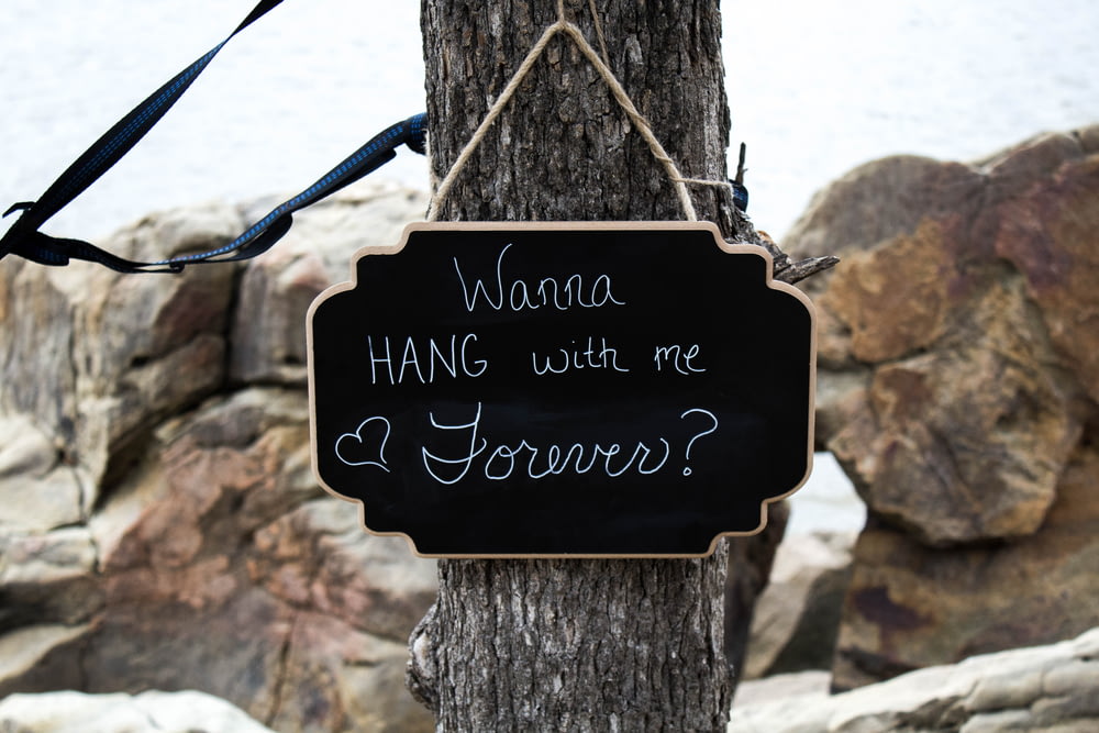 close view of wanna hang with me forever on tree