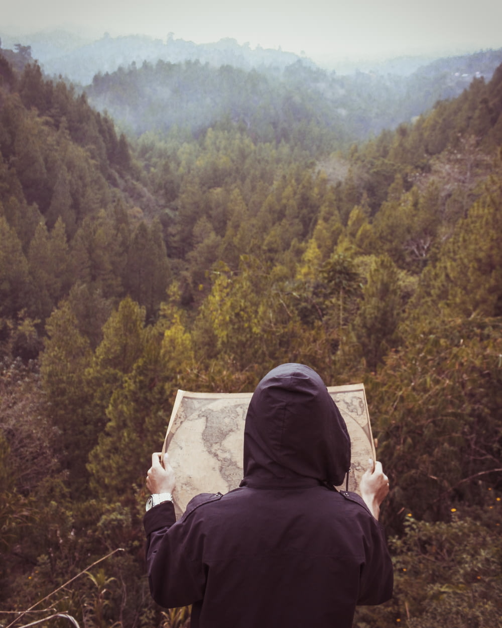 person facing forest reading map during daytime