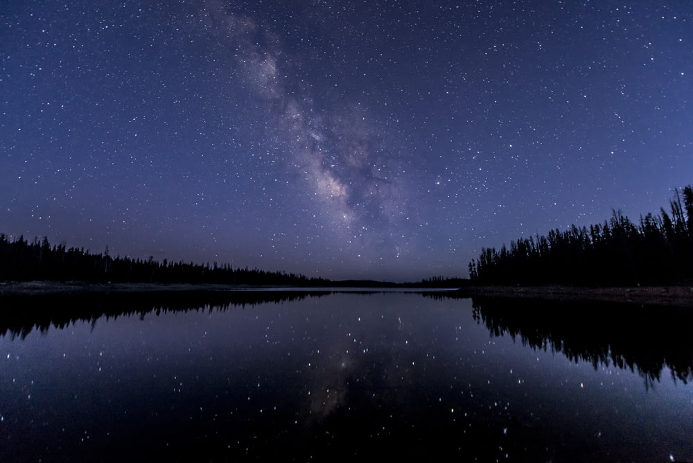 Silhouette von Bäumen in der Nähe eines Gewässers unter Himmel mit Sternen
