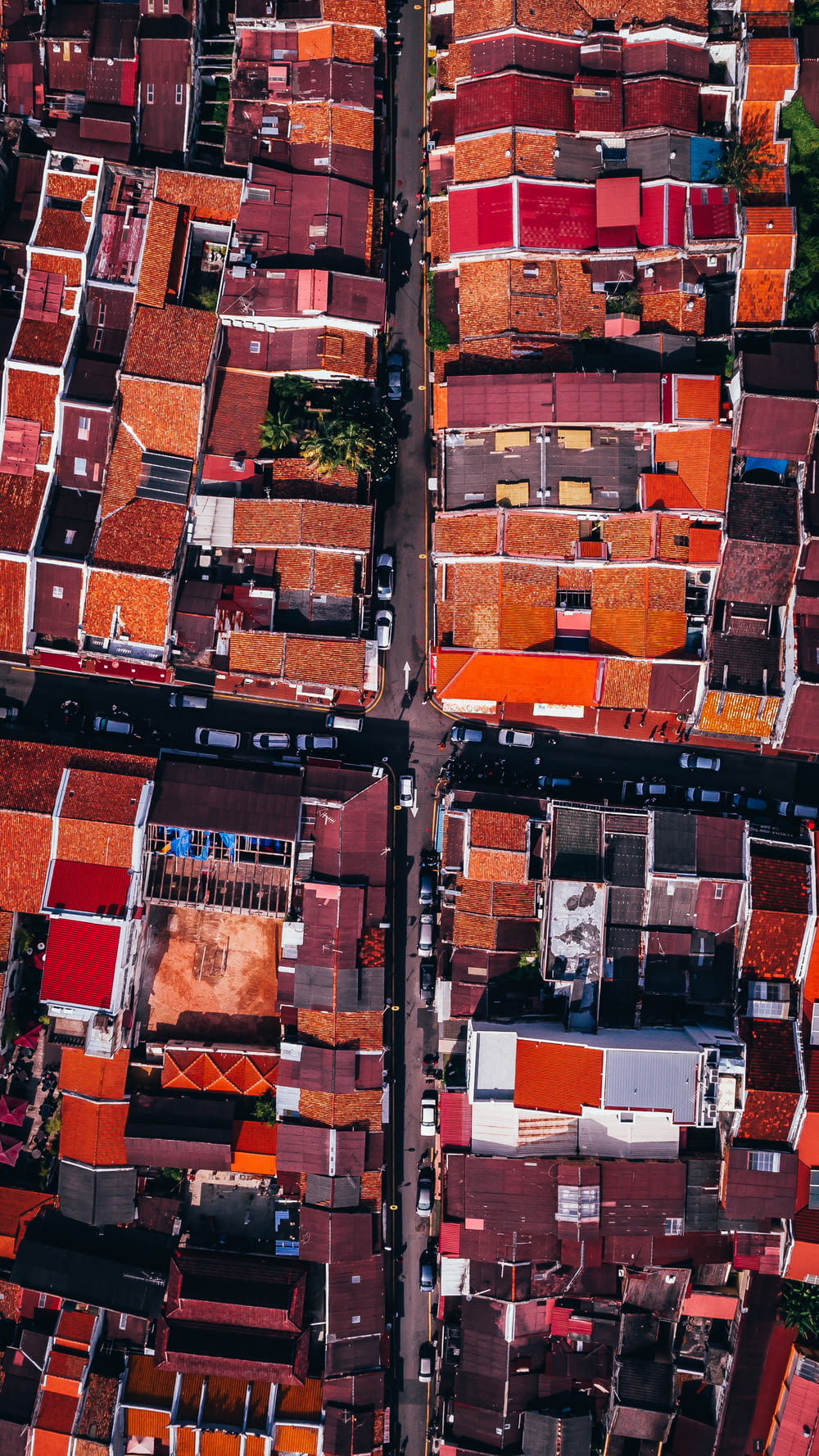 aerial photograph of orange and red roof cityscape