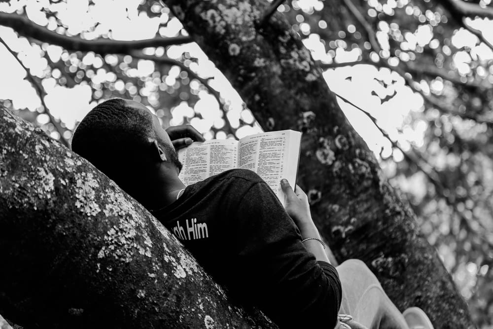 man lying on branch while reading book