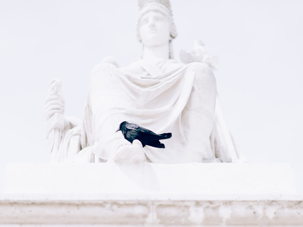 a black bird sitting on top of a statue