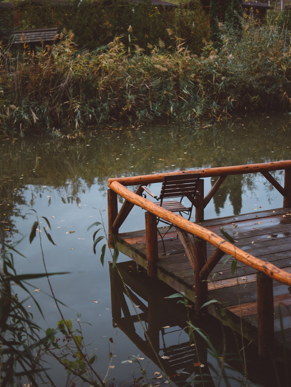brown wooden water dock near grass