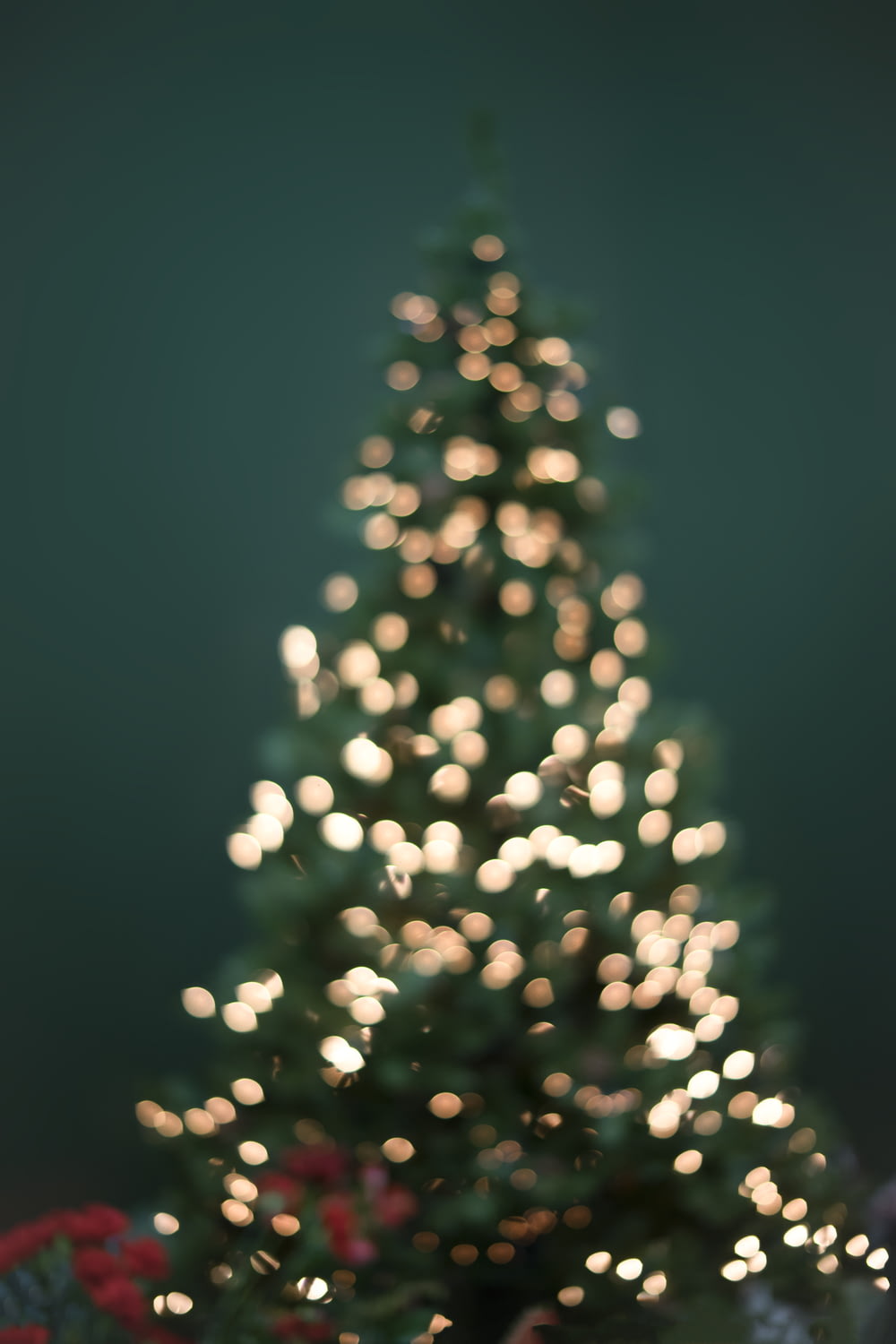 Fotografía de boke del árbol de Navidad y luces de cadena