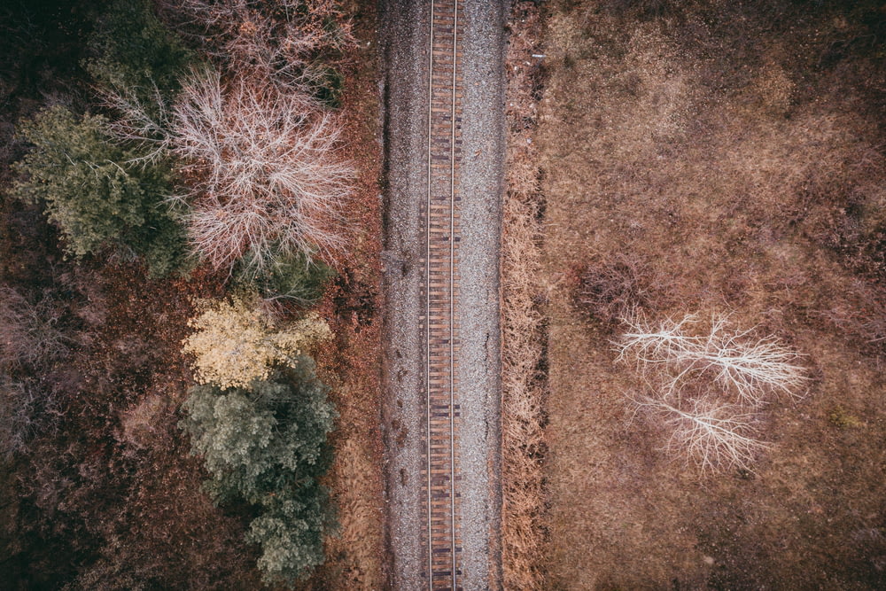 train railway beside land with trees