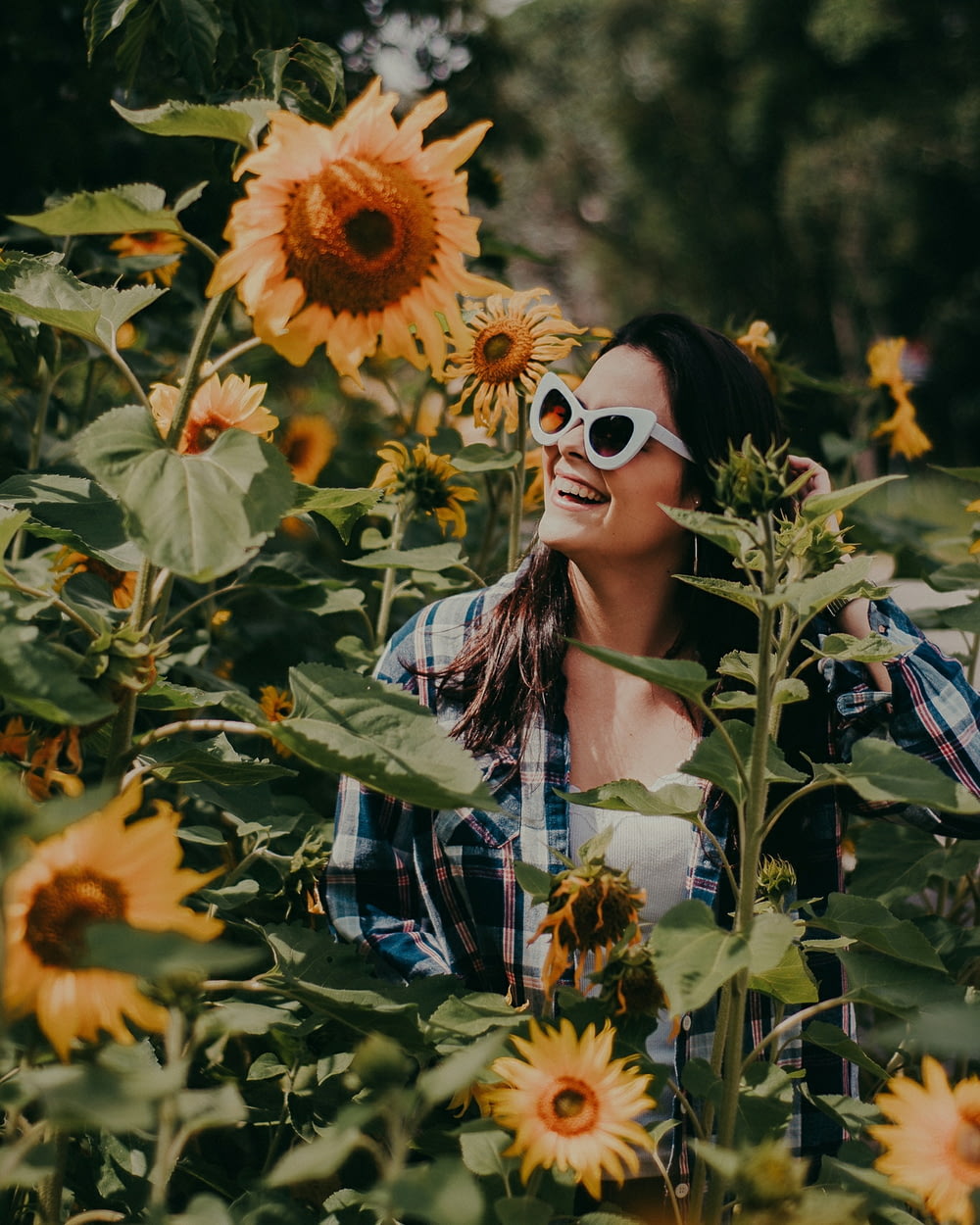 Foto einer Frau, die von Sonnenblume umgeben ist