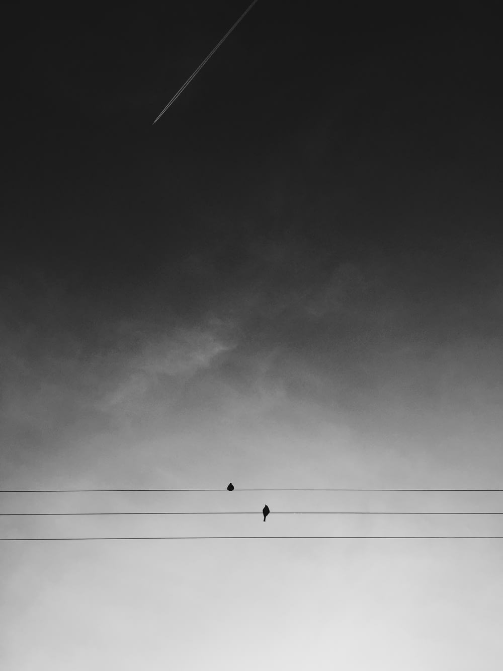 Deux oiseaux noirs sur des fils électriques sous un ciel gris pendant la journée