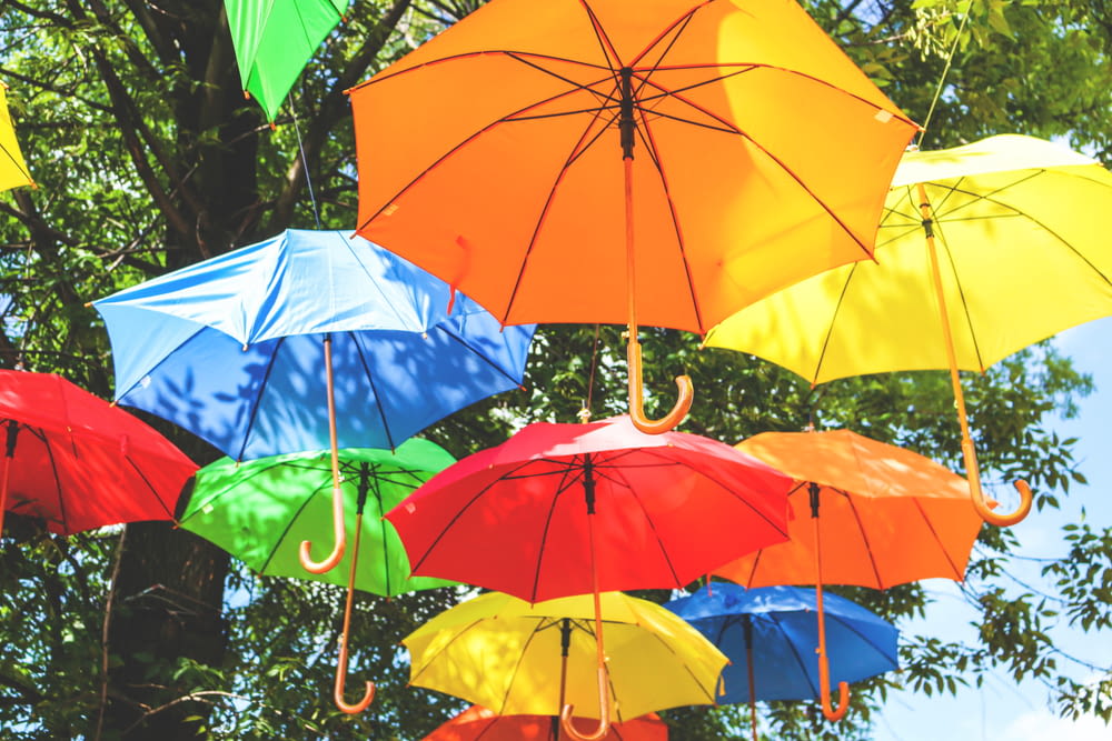 ombrelli appesi di colore assortito vicino all'albero