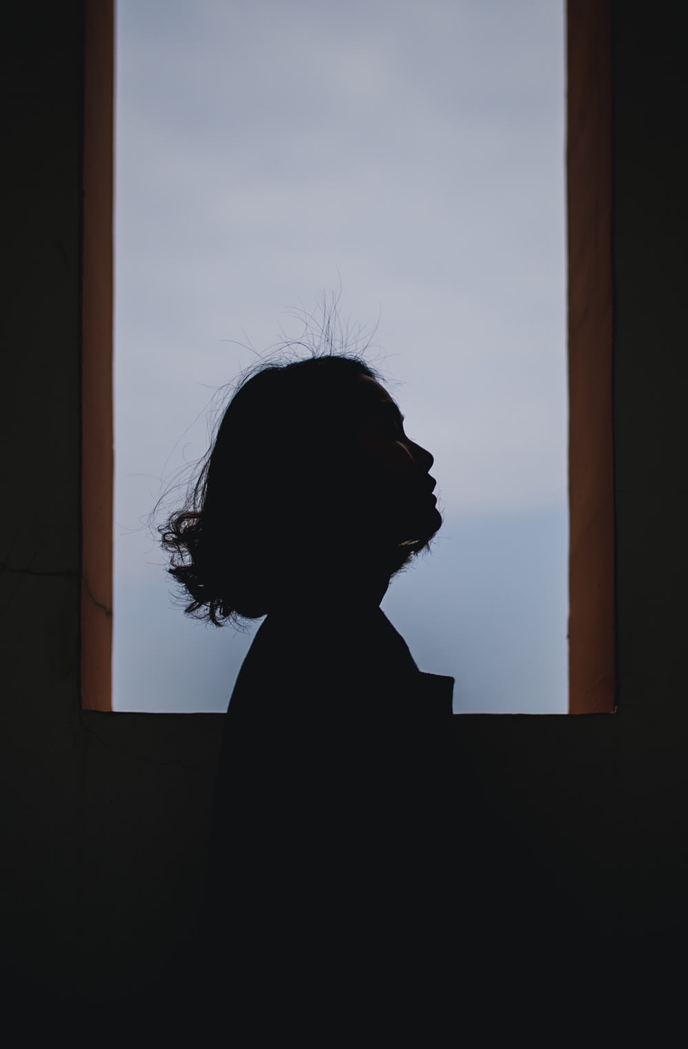 a silhouette of a person looking out of a window
