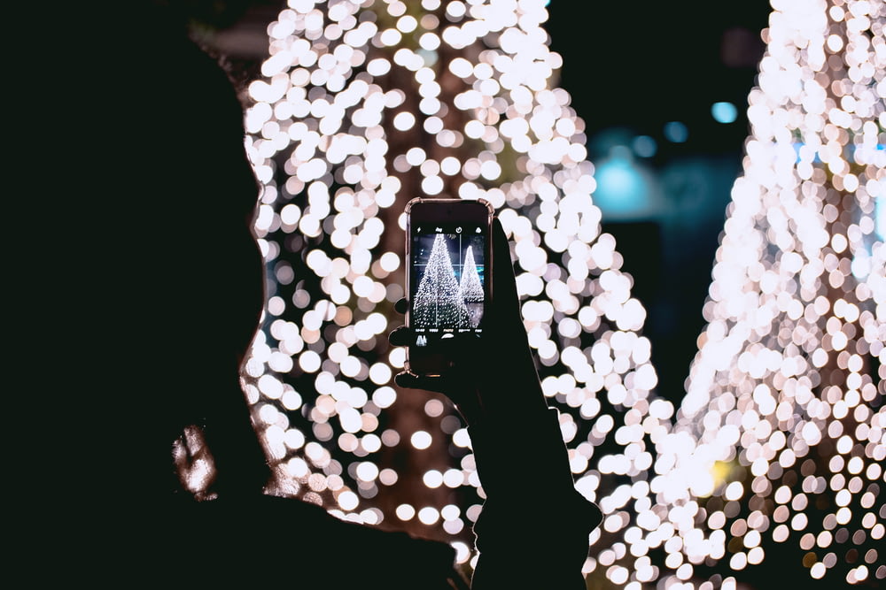 persona tomando fotos de árboles de Navidad