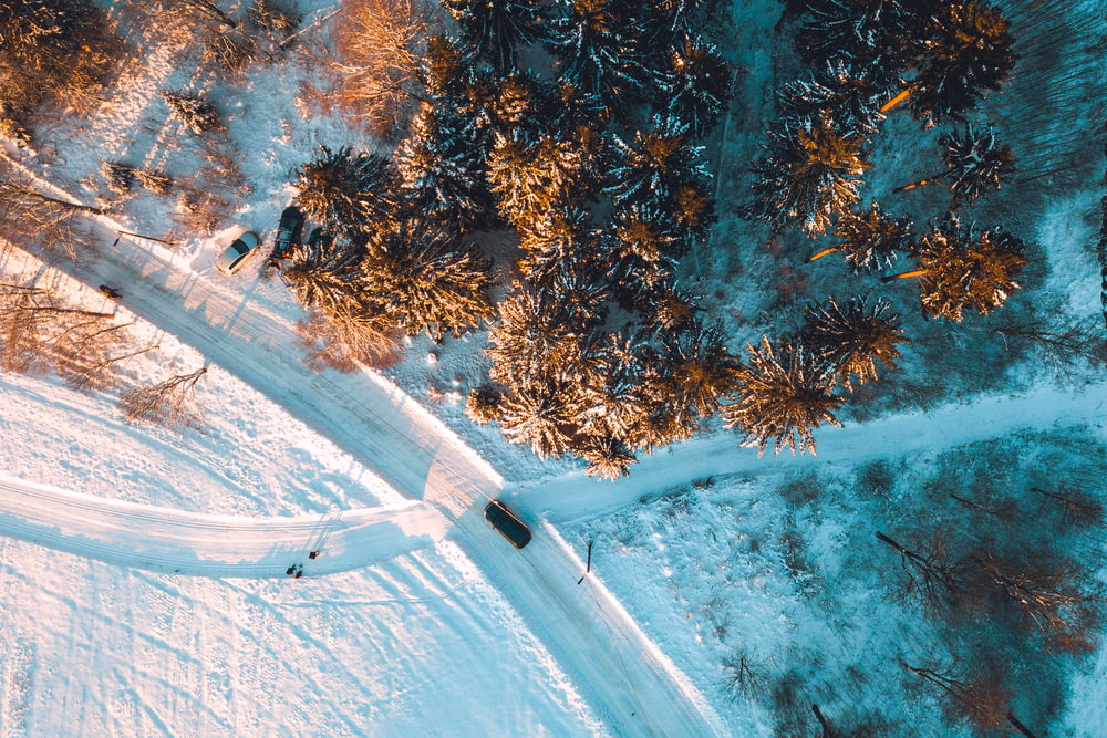 aerial view of snow covered forest and road